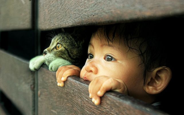 cat-and-kid-peeking-wide