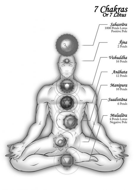 The_7_Chakras_by_StriderDen